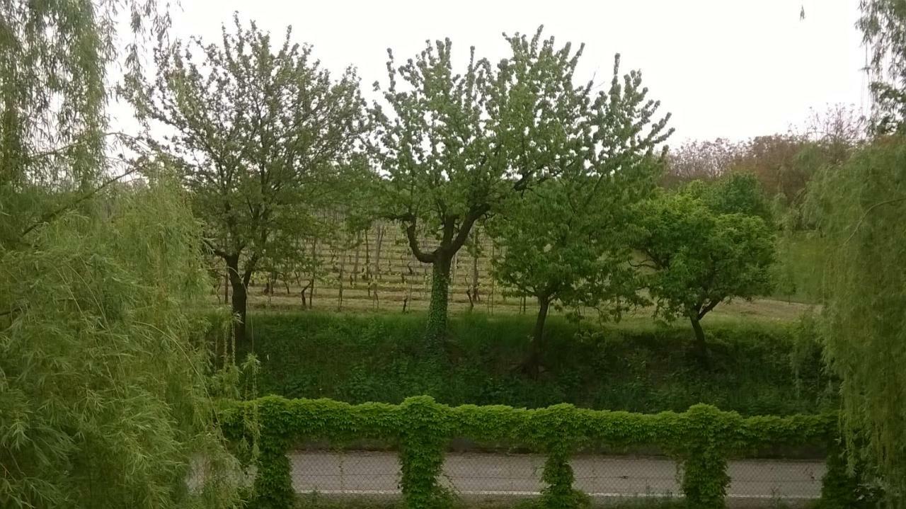 Agriturismo Cascina Barin Roddi Dış mekan fotoğraf